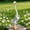 B, variant on Garden Goose Goose Statue Goose Statue Outdoor Garden Decoration Porch Ornament Lawn Yard Art Animal Sculpture Farmhouse Decor for Patio Courtyard Vintage Style Waterproof Resistant Figure