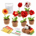 thumbnail image 1 of Kit de crochet para principiantes, kit de flores en maceta de crochet, kit completo de crochet para principiantes adultos con instrucciones paso a paso, 1 of 5