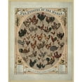 thumbnail image 3 of Louis Prang 15x18 Black Modern Framed Museum Art Print Titled - The Poultry of the World-Portraits of All Known Valuable Breeds of Fowls (1868), 3 of 5