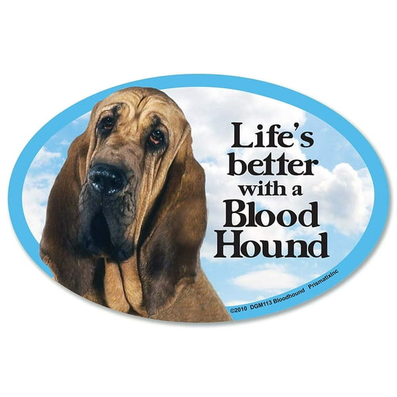 Bloodhound Oval Dog Magnet for Cars