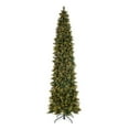 thumbnail image 2 of National Tree Company 12 ft Pre-Lit Carolina Pine Slim Artificial Christmas Tree, 1,000 Clear Lights, 1,900 Tips, Includes Stand, Green, 2 of 8