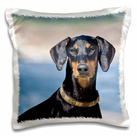 3dRose Portrait of a Doberman Pinscher dog - US05 ZMU0280 - Zandria Muench Beraldo, Pillow Case, 16 by