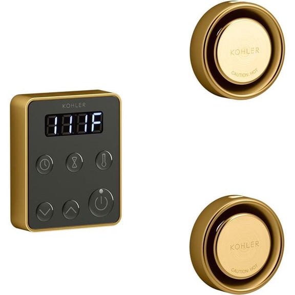 Kohler  Invigoration Series Tandem Steam Generator Control Kit - Vibrant Brushed Moderne Brass
