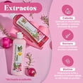 thumbnail image 4 of NATURAL SANT, Set Shampoo y Tratamiento de Cebolla, Romero y Biotina, Ayuda a Fortalecer el Cuero Cabelludo, 500 ml c/u, 4 of 6