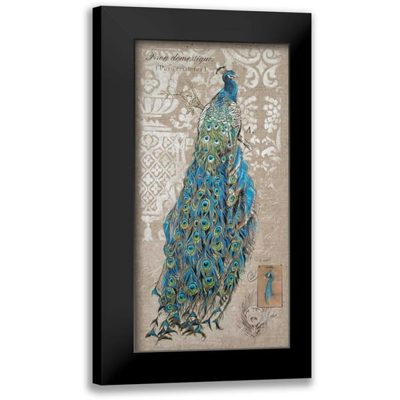 Barrett, Chad 9x14 Black Modern Framed Museum Art Print Titled - Peacock on Linen 1