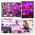 thumbnail image 6 of Fixdono Grow Lights for Indoor Plants, Four Head 80 LED Grow Light with Full Spectrum, Adjustable Gooseneck, Auto on off Timing 4 8 12Hrs, 6 of 8