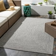 thumbnail image 2 of Surya Chesapeake Bay Polypropylene 7'6" x 9'6" Area Rugs CPK2302-7696, 2 of 2