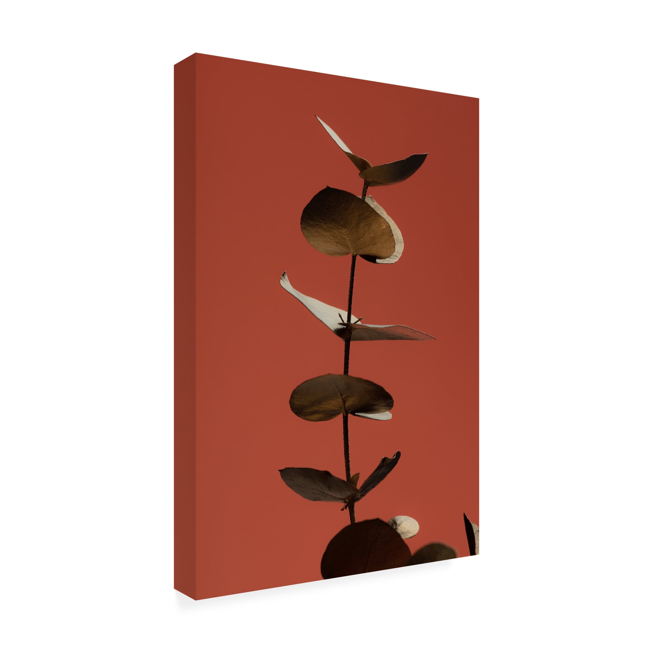 Canvas Wall Art - Pictufy Studio Iii 'Eucalyptus Gold Rust 04' Wall Art for Living Room, Bedroom, or Office D?cor by Trademark Fine Art - 30 x 47 Inches