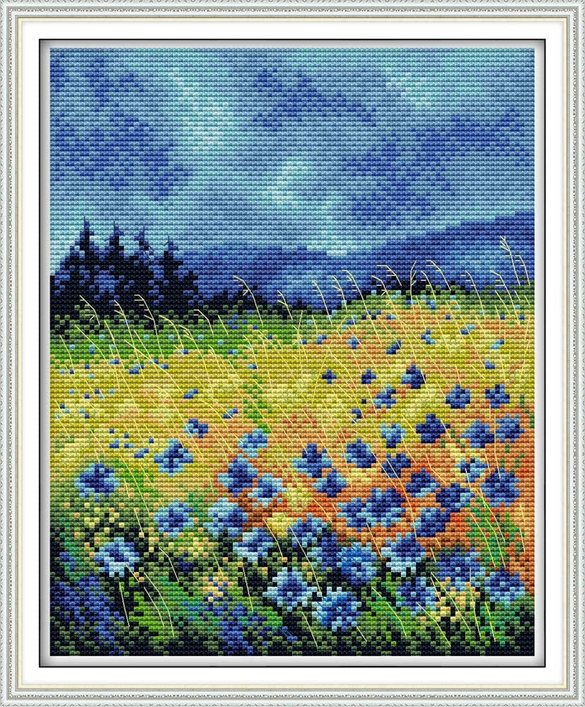 Stamped Cross Stitch Kits for Beginners Pre-Printed Needlecrafts Counted Cross Stitch Admire Scenery