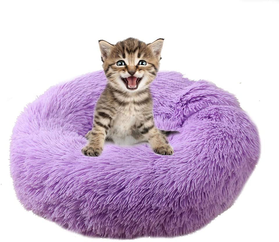 purple brand pet bed