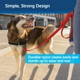 thumbnail image 4 of PetSafe Nylon Dog Leash, Strong, Durable, Traditional Style with Bolt Snap, 3/8" x 6' Red, 4 of 6