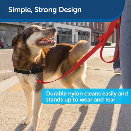 PetSafe（ペットセーフ）犬用リード ナイロンリード レッド 幅1.9cm×長さ120cm
