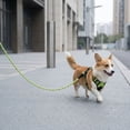 thumbnail image 6 of No Pull Dog Harness and Leash Set, Explosion-Proof Pet Vest with Adjustable Straps for Small to Extra Large Dogs, Reflective No-Tug Walking Harness, 5 Colors, S M L XL, 6 of 7