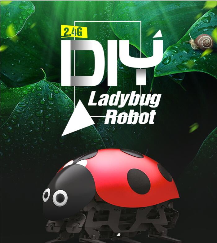 ladybug rc car