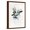 Brown Frame, variant on Art.com Growth Within I Art Print by PI Studio, 12" x 18"