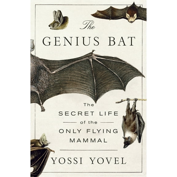 The Genius Bat: The Secret Life of the Only Flying Mammal, (Hardcover)