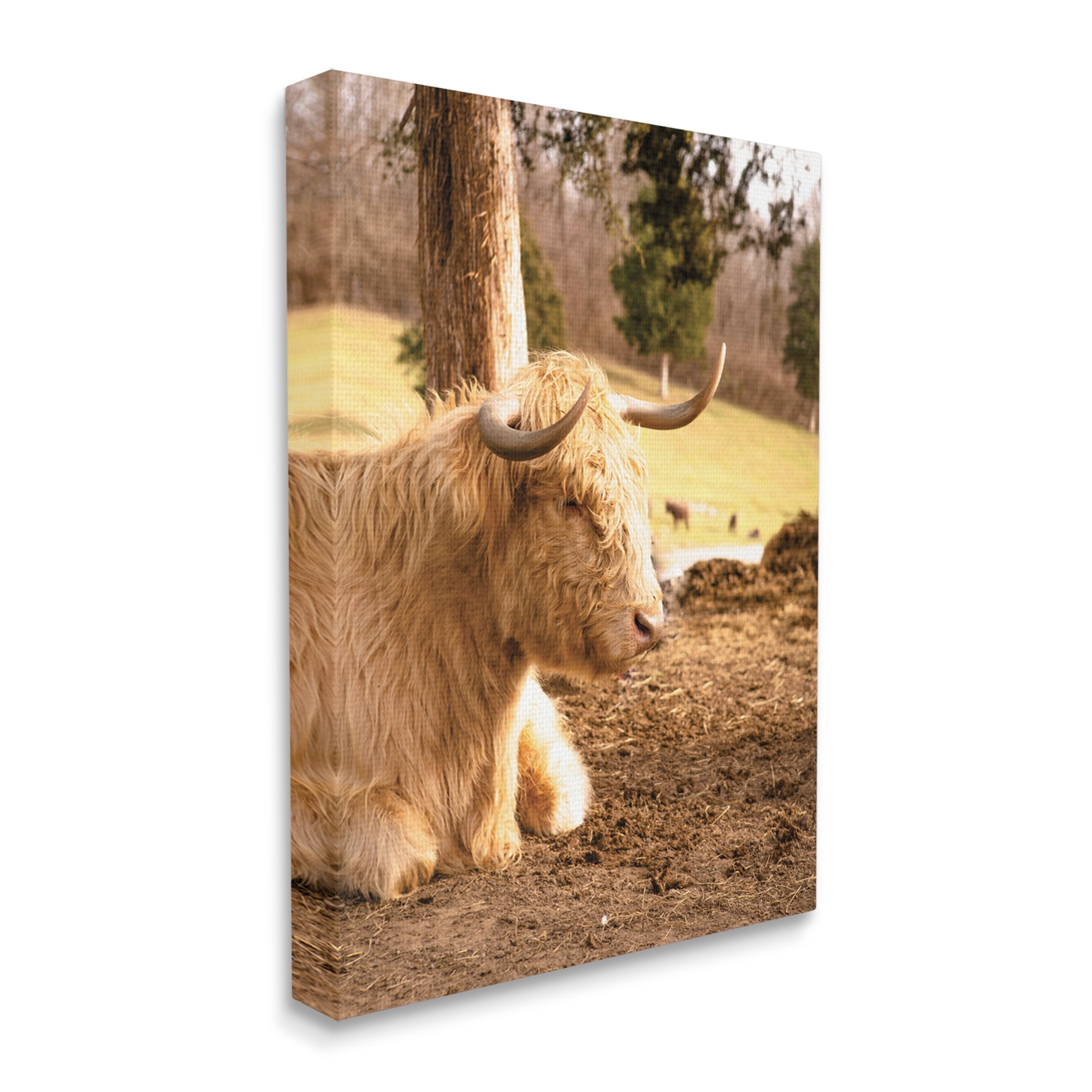 Stupell Industries Relaxing Cattle Lying Beneath Tree Grazing Farmland Meadow Photograph Gallery Wrapped Canvas Print Wall Art, Design by Donnie Quillen