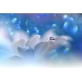 thumbnail image 2 of Nan, Juliana 32x23 White Modern Wood Framed Museum Art Print Titled - The Song Of The Sea...III, 2 of 4