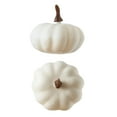 thumbnail image 3 of JJKBVCLO Thanksgiving Day Small Pumpkin Figurine Big Pumpkin Grain Photography Food Baking And Photo, 3 of 7