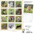 thumbnail image 2 of The Beauty of Cats | 2024 12x24" (Hanging) Wall Calendar | StarGifts, 2 of 9
