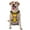 With Accessories, variant on Vsdgher Mardi Gras Crayfish and Fleur de lis Pattern Dog Harness,No Pull Pet Harness with Soft Padded Handle,Adjustable Reflective Vest with 2 Buckles,4 Slide Buckles,S-XL Large