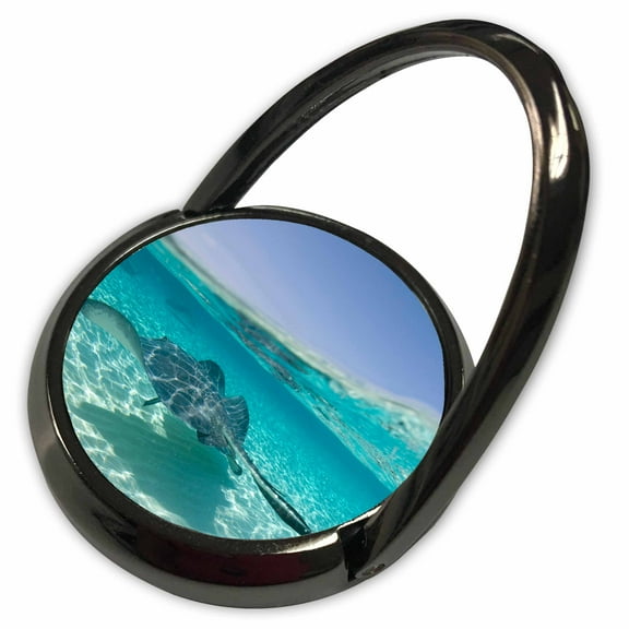 3dRose, Cayman Islands, Southern Stingray in Caribbean Sea-CA42 PSO0047 - Paul Souders, Phone Ring