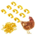 thumbnail image 3 of BANDAS PARAS DE POLLO, 100 UNIDADES, HEBILLA DE IDENTIFIONA PARAS, BANDAS Para Pato, Correa para Pollo, Anillos para Patas de Aves de Corral Con, 3 of 7