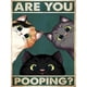 thumbnail image 1 of Kit de pintura de diamantes GKOKG con forma de gato, 30 x 40 cm, 1 of 7