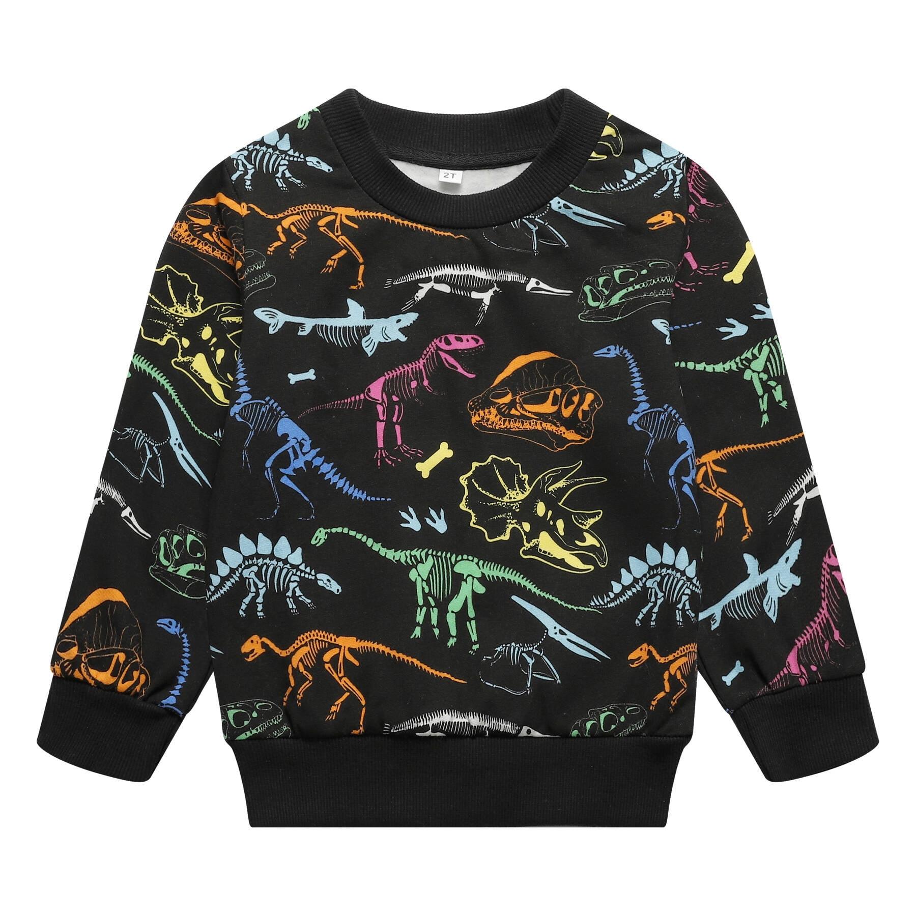 DINOSAUR WOW FLEECE BOYS SWEATSHIRT - WHITE