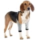 thumbnail image 2 of Protector de articulaciones para mascotas, cálido y resistente al desgaste, protector de lesiones en las piernas del perro L TUNC Sencillez, 2 of 5