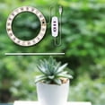 thumbnail image 4 of LED Grow Light Full DC5V Lamp for Succulents A, 4 of 7