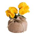 thumbnail image 1 of Handmade Knitted Crochet Mini Potted - Boho Style, Soft Yarn, Faux Flower Design, Compact, Lightweight, Suitable for Desk, Bedroom, Balcony & Home Decoration, 1 of 5