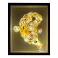 thumbnail image 2 of Xihbxyly Lámpara de Conchas Diy, Efecto Cielo Romántico, Luces Led Ocultas, Montaje Personalizable, Decoración Acogedora para Habitación, Regalo para Seres Queridos, Tamaño 27 X 22 X 4,5 Cm, 2 of 6
