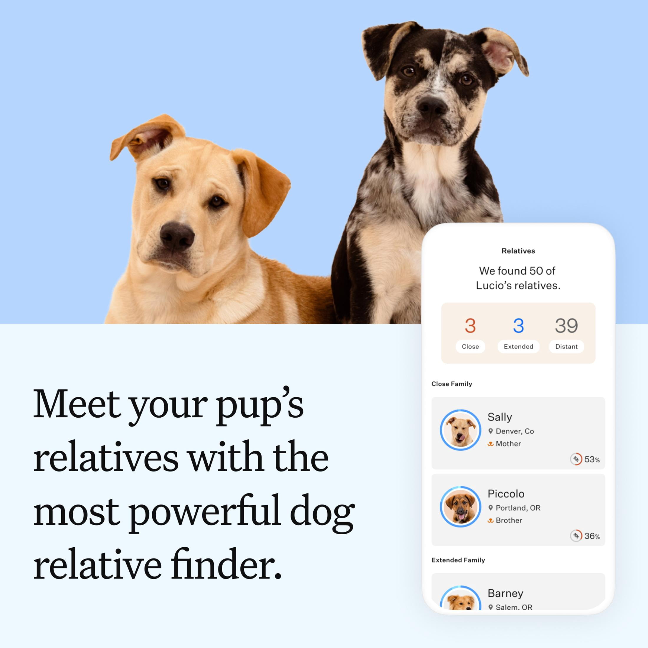 Wisdom Panel Essential Dog DNA Testing Kit, Most Accurate Test, 430+ Dog Breeds, 30 Genetic Health Conditions, 50+ Traits, Relatives, Ancestry, 1 Pack