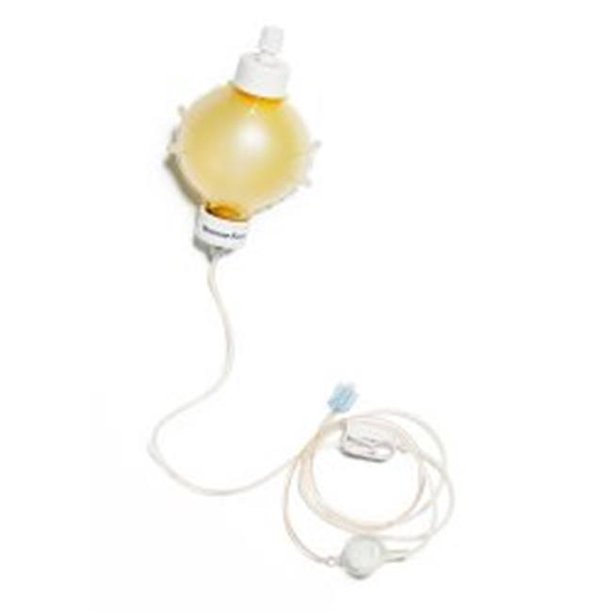 12002801 Elastomeric Pump Homepump Eclipse, 100 200 ml