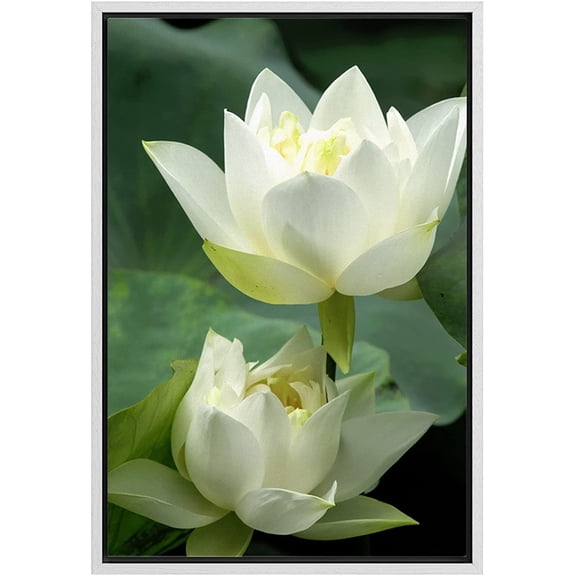 wall26 Framed Canvas Prints Wall Art - White Lotus Flower and Green Lotus Leaf | Modern Wall Decor/Home Art Stretched Gallery Wraps Giclee Print & Wood Framed. Ready to Hang - 24"x36" W
