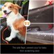 thumbnail image 4 of Funda para Asiento de Perro iBuddy Impermeable para Camionetas y SUVs, 4 of 5