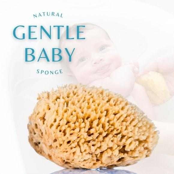 Natural Baby Sponge, Eco-Friendly, Soft & Gentle on Delicate Skin for Infant, Beige 1 Pc by LatherGreen