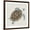 Brown Frame, variant on Art.com Sea Turtle I Stretched Canvas Print Wall Art by Naomi McCavitt, 30" x 30"