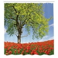 thumbnail image 3 of Ambesonne Tree Shower Curtain, Spring Scenery Flowers, 69"Wx70"L, Green Red Blue, 3 of 5