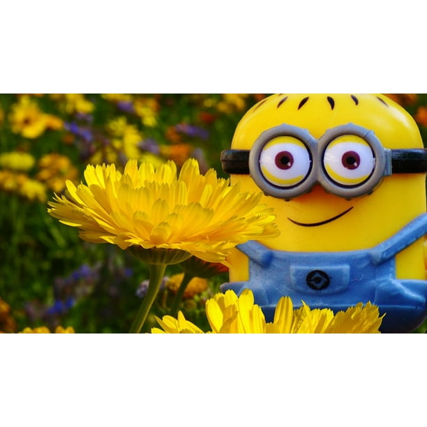  Flowers  Minion  Fun Toy Play Fig Funny Meadow 12 Inch By 18 