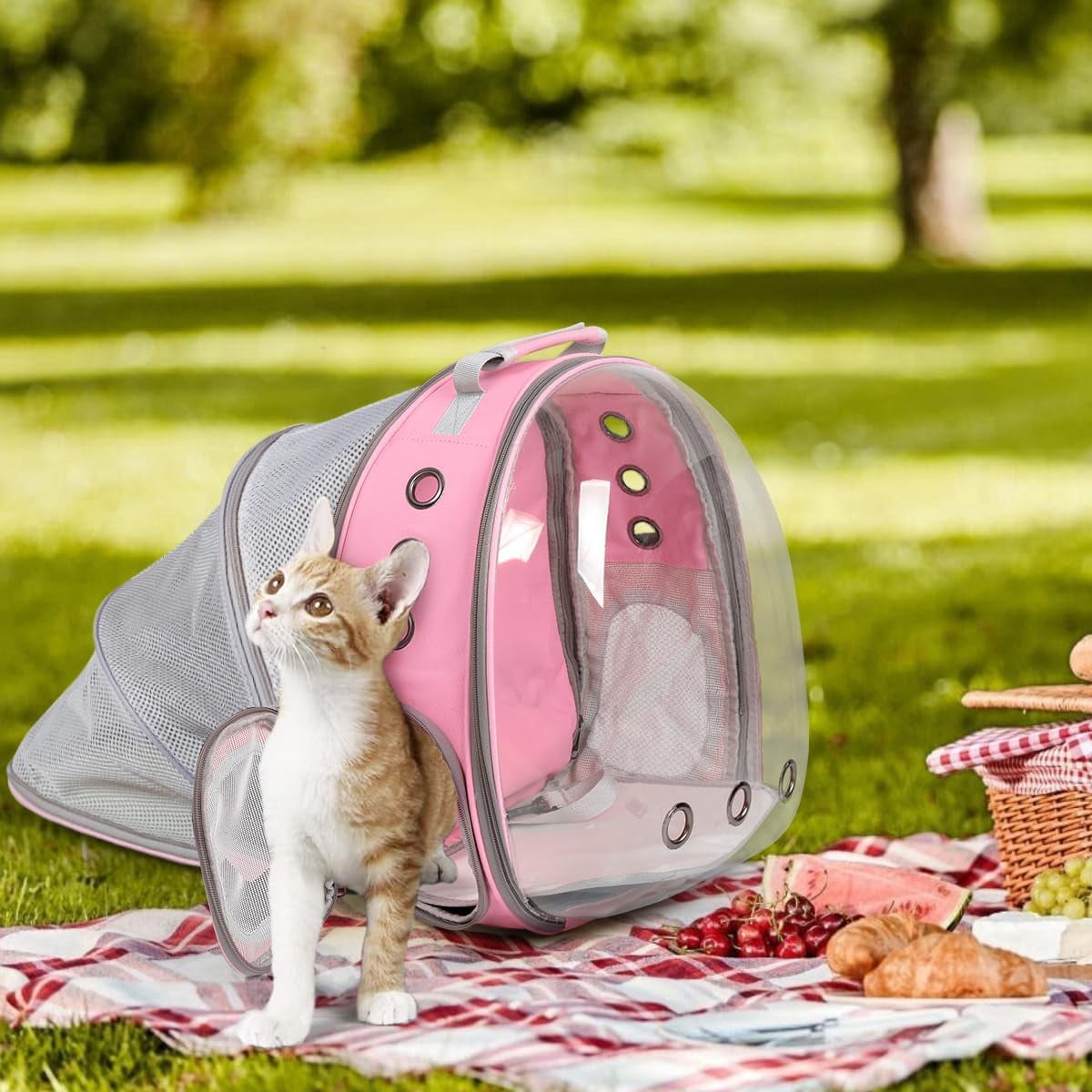DENZUS Bubble Expandable & Foldable Cat Backpack Carrier, Breathable Pet Backpack for Large Cats, Designed for Hiking, Travelling, Camping