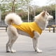 thumbnail image 1 of Zhuge Chaleco para perros y gatos, chaleco transpirable para mascotas, sudadera para cachorros, ropa para perros, abrigos para perros pequeños, medianos y gatos, 3XL, A25, 1 of 4