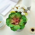 thumbnail image 6 of BalsaCircle 3 Green Assorted 6" Artificial Faux Succulent Picks Echeveria Rosettes Stems, 6 of 6