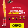 thumbnail image 5 of Catchmaster Fly Ribbon 96-Pack, Sunproof Flying Insect & Fruit Fly Traps Outdoor & Indoor, 5 of 6