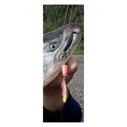 Blue Fox Classic Vibrax Size 5 7/16oz Silver/Flo Red