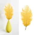thumbnail image 2 of 12-14 inch Natural Ostrich Feathers, Soft Plume for Diy Crafts Wedding Centerpieces Party Decorations Christmas Tree Ornaments Costume accessories Dream Catcher, 1Pc (Multiple Colors available) Mohdy, 2 of 7