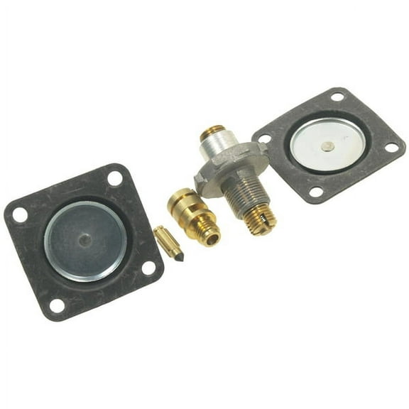 Carburetor Repair Kit
