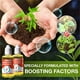 thumbnail image 3 of Suplemento potenciador de crecimiento vegetal | Solución nutritiva universal concentrada de 50ml para enraizamiento rápido, plantas más fuertes, flores mejores | Soporta árboles frutales, 3 of 9