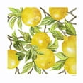 thumbnail image 2 of Jacobs, Cindy 15x15 White Modern Wood Framed Museum Art Print Titled - Lemon Square, 2 of 4